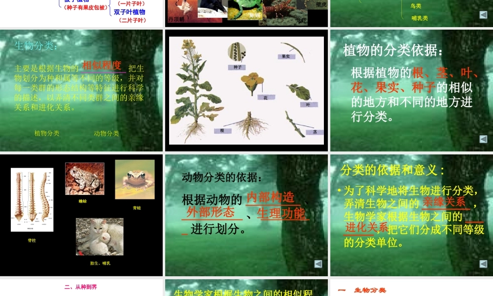 人教版八年级生物第六章《生物的多样性及其保护》复习课件（26张）