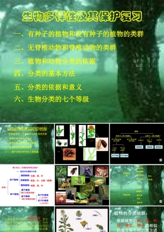 人教版八年级生物第六章《生物的多样性及其保护》复习课件（26张）