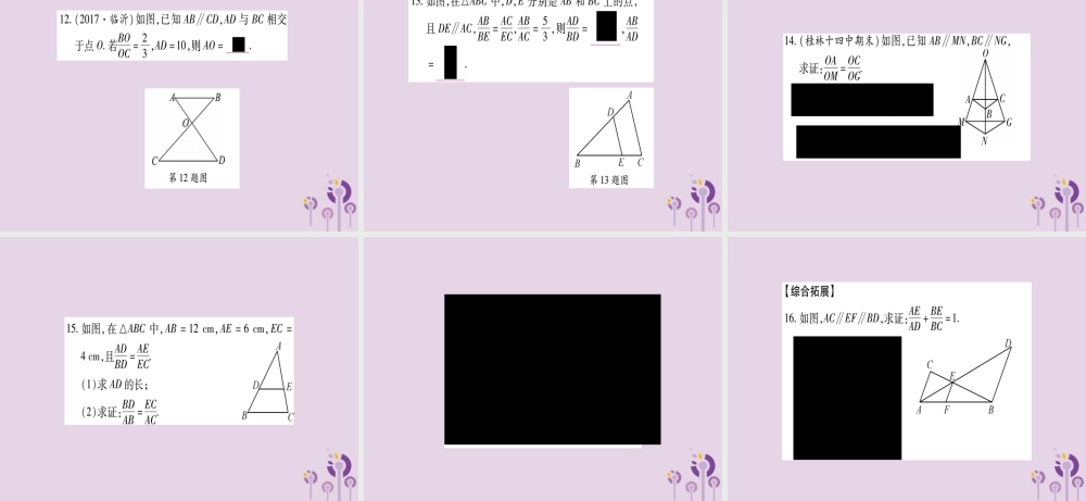 九年级数学上册 第3章 图形的相似 32 平行线分段成比例作业课件 (新版)湘教版 课件
