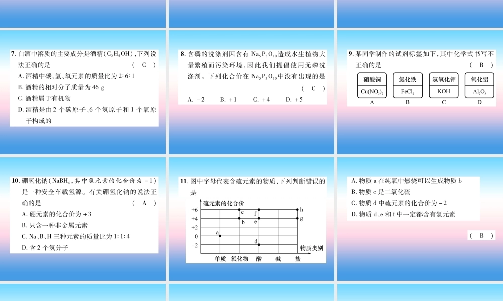 中考化学复习 第1编 教材知识梳理篇 第4单元 自然界的水 第2讲 化学式和化合价(精练)课件