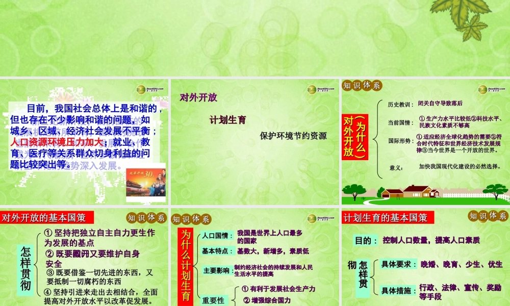 九年级政治全册 第四课 了解基本国策与发展战略课件 新人教版 课件