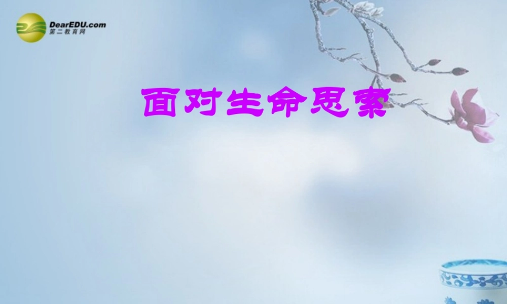 九年级政治全册 人字的意义教学课件1 陕教版 课件