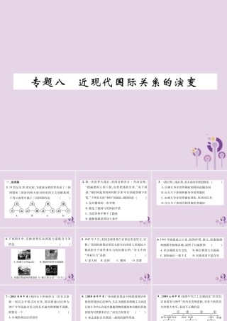 中考历史总复习 第二编 热点专题速查篇 专题8 近现代国际关系的演变(精练)课件