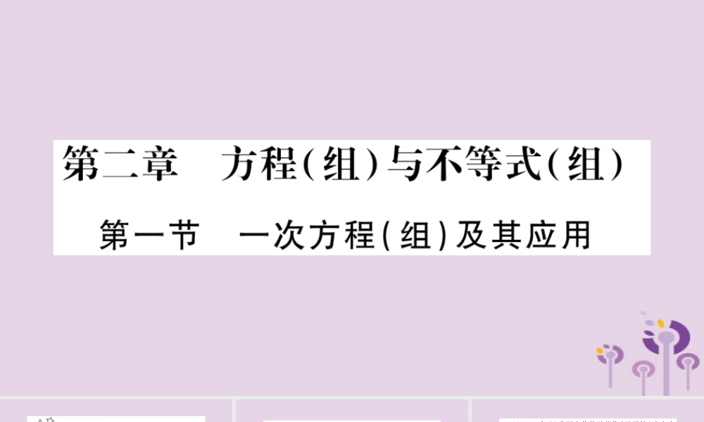 中考数学复习 第一轮 考点系统复习 第2章 方程(组)与不等式(组)第1节 一次方程(组)及其应用习题课件