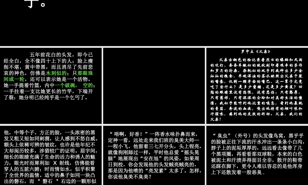 精彩的外貌描写