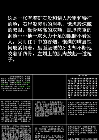 精彩的外貌描写