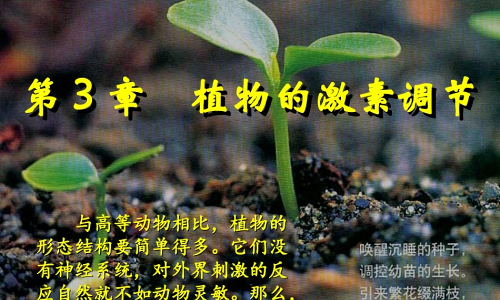 植物生长素的发现刘亚荣