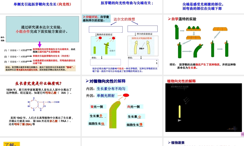 植物生长素的发现刘亚荣