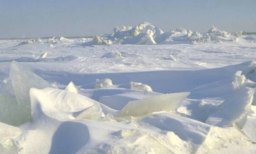 初中七年级语文下册 第21课(伟大的悲剧 )课件 新人教版 课件