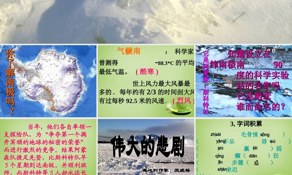 初中七年级语文下册 第21课(伟大的悲剧 )课件 新人教版 课件