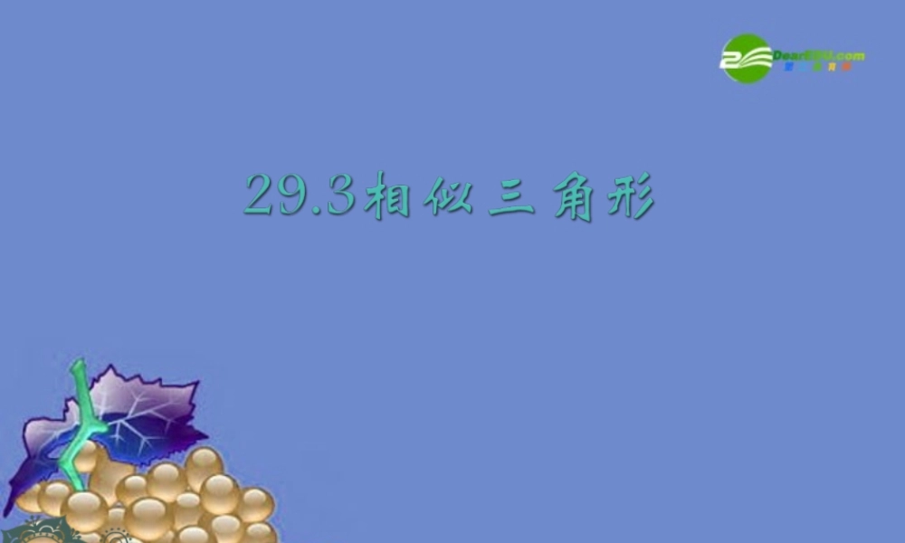 九年级数学上册 293 相似三角形课件 冀教版 课件