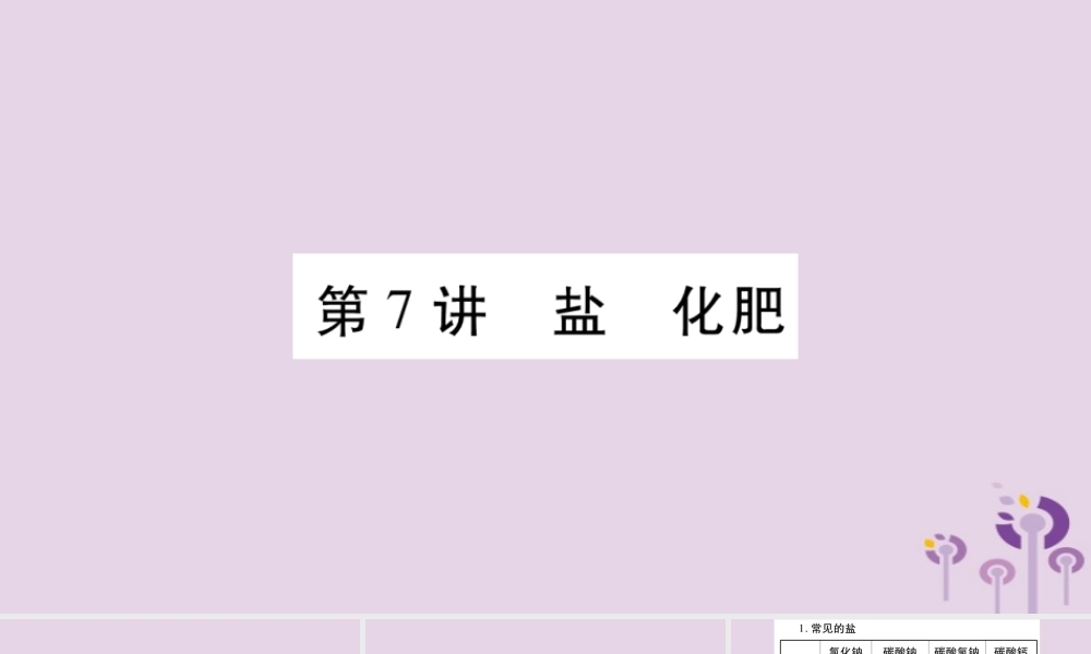 中考化学复习 第一部分 基础知识 第一单元 常见的物质 第7讲 盐 化肥(精讲)课件