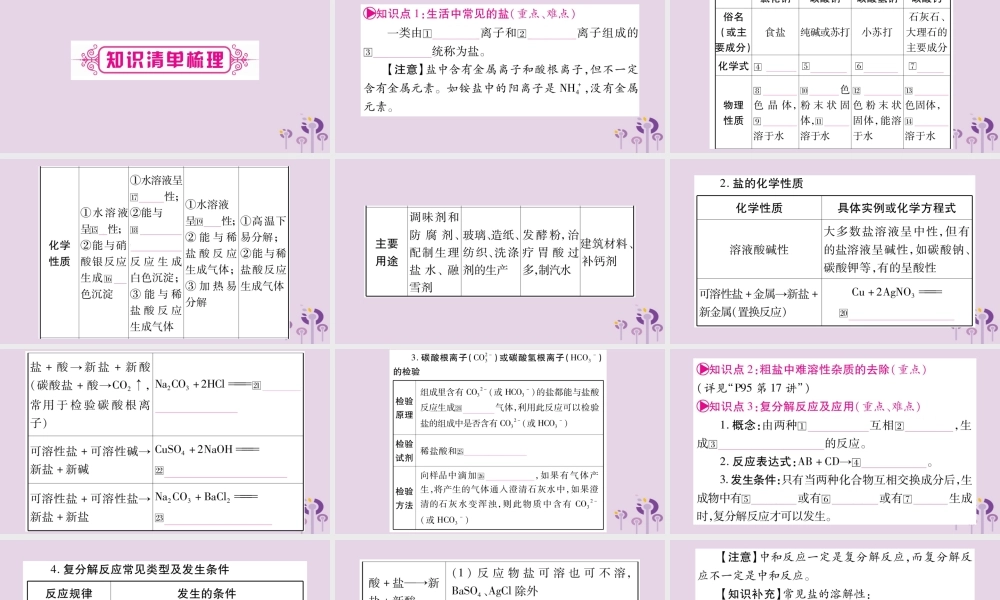 中考化学复习 第一部分 基础知识 第一单元 常见的物质 第7讲 盐 化肥(精讲)课件