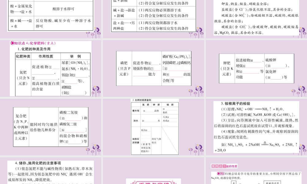 中考化学复习 第一部分 基础知识 第一单元 常见的物质 第7讲 盐 化肥(精讲)课件