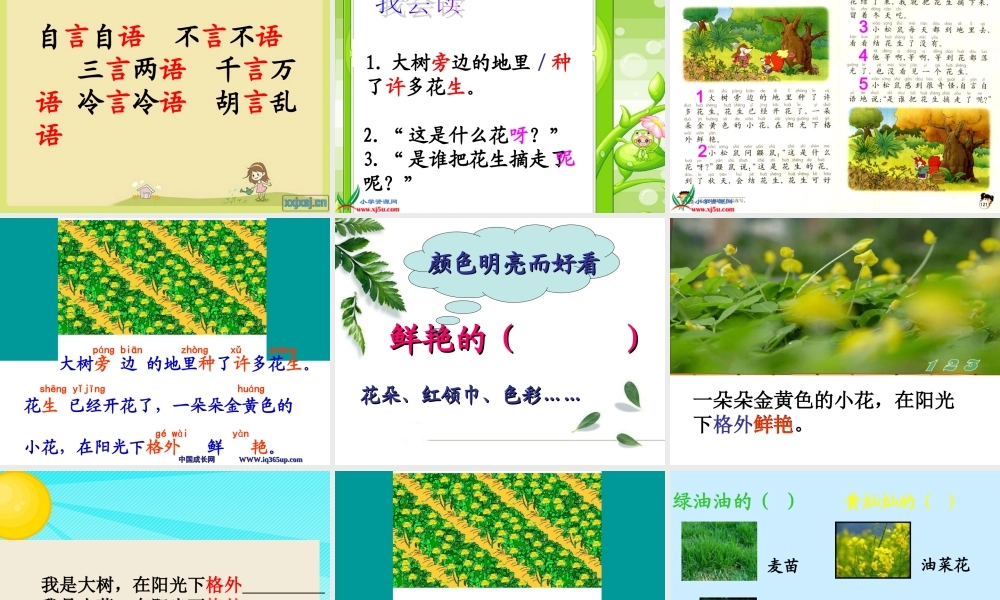 《小松鼠找花生》课件