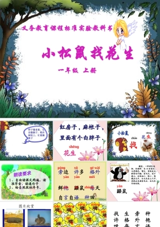 《小松鼠找花生》课件