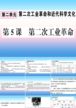 九年级历史下册 第二单元 第二次工业革命和近代科学文化 第5课 第二次工业革命习题课件 新人教版 课件