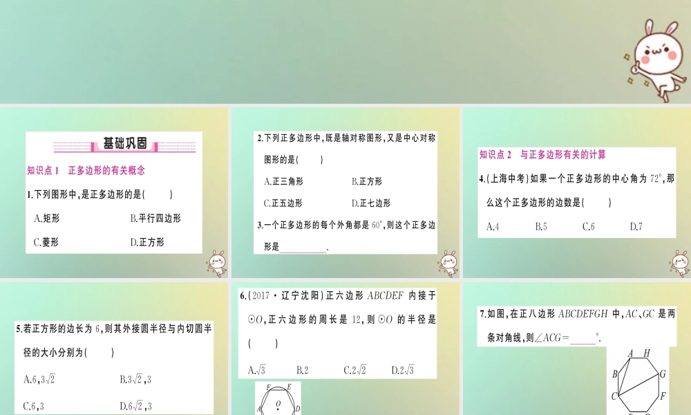 九年级数学上册 第二十四章 圆 243 正多边形和圆习题课件 (新版)新人教版 课件