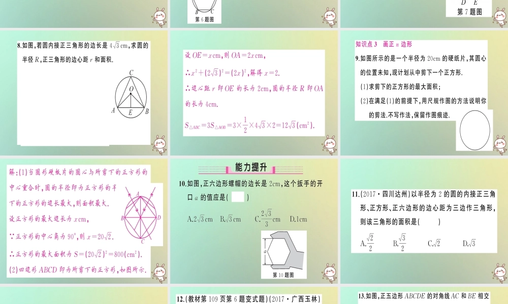 九年级数学上册 第二十四章 圆 243 正多边形和圆习题课件 (新版)新人教版 课件