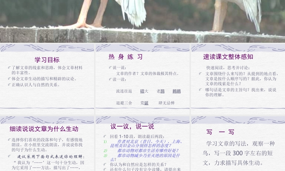 八年级语文都市精灵课件2苏教版 课件
