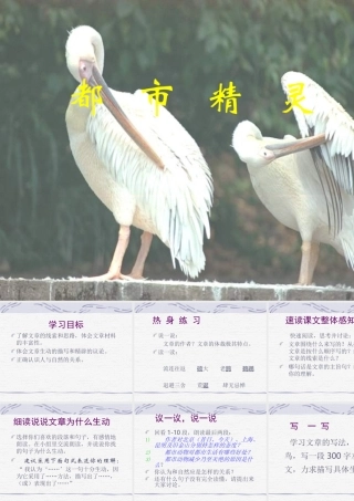 八年级语文都市精灵课件2苏教版 课件