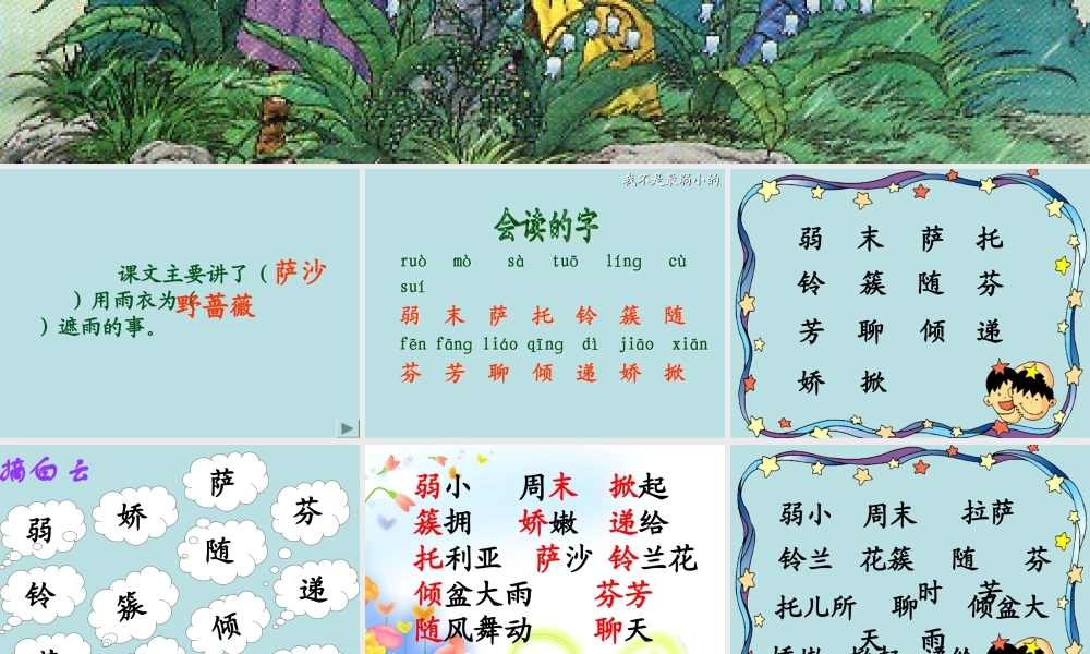 我不是最弱小的修改课件