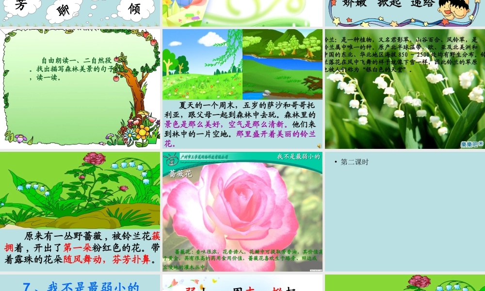 我不是最弱小的修改课件