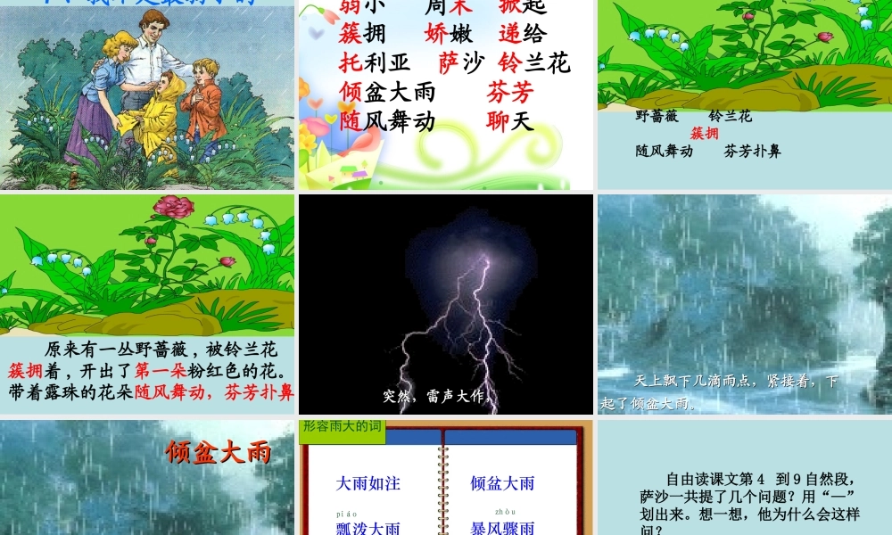 我不是最弱小的修改课件