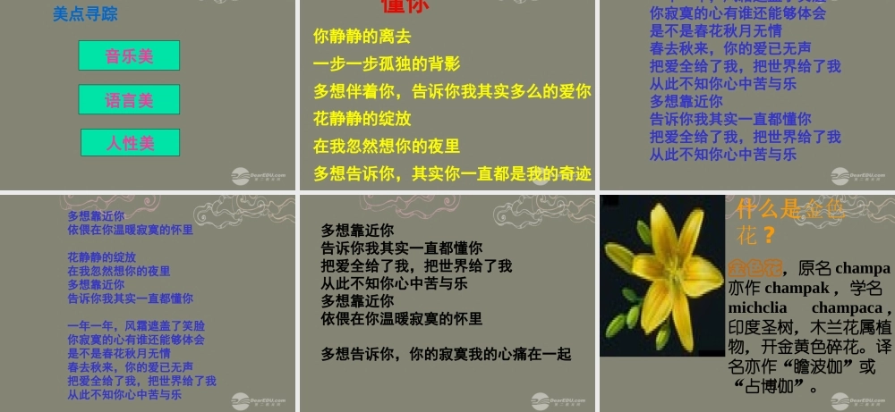 中学七年级语文上册 4金色花课件2 (新版)新人教版 课件