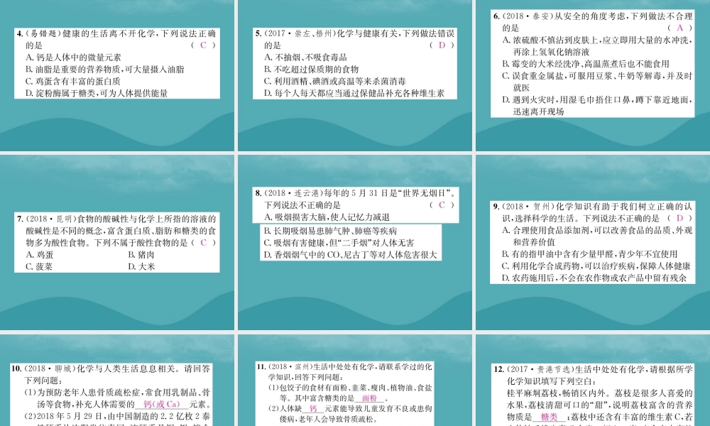 中考化学复习 第十单元 化学与健康课件 鲁教版 课件