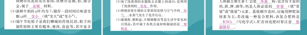 中考化学复习 第十单元 化学与健康课件 鲁教版 课件