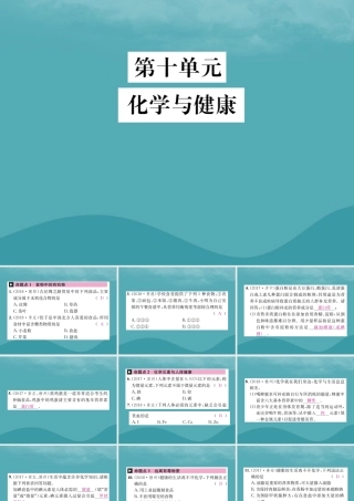 中考化学复习 第十单元 化学与健康课件 鲁教版 课件