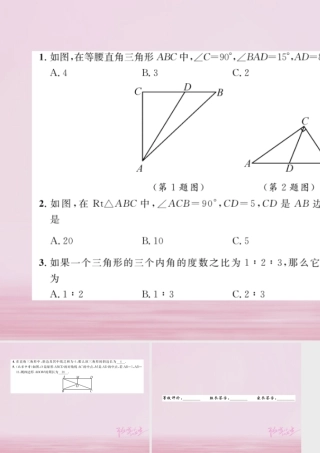 九年级数学上册 第24章 解直角三角形 242 直角三角形的性质练习课件 (新版)华东师大版 课件