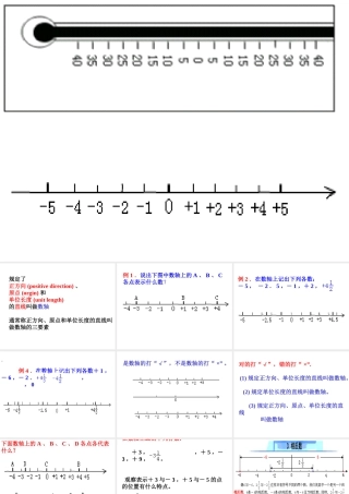 七年级数学实验课程之 数轴 课件 华师版 课件