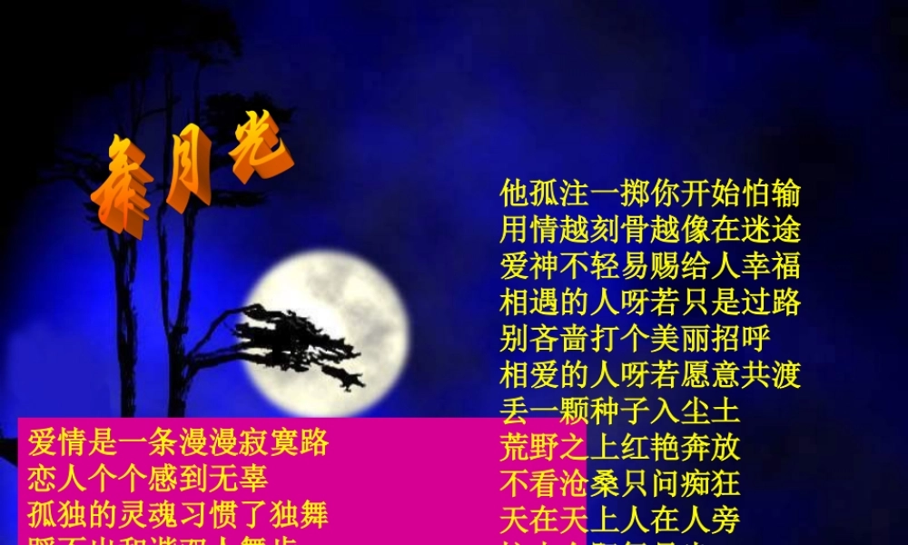 九年级语文上册(孤独之旅)优秀课件(71页) 人教新课标版 课件