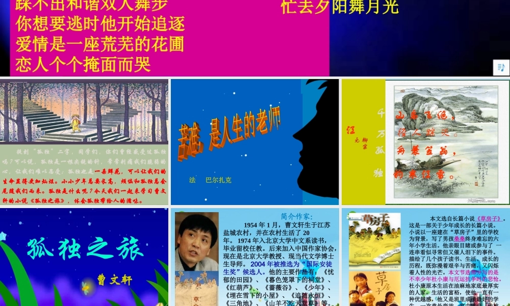 九年级语文上册(孤独之旅)优秀课件(71页) 人教新课标版 课件