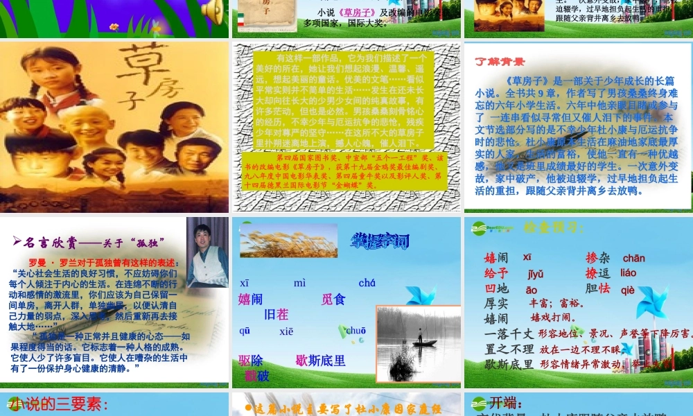 九年级语文上册(孤独之旅)优秀课件(71页) 人教新课标版 课件