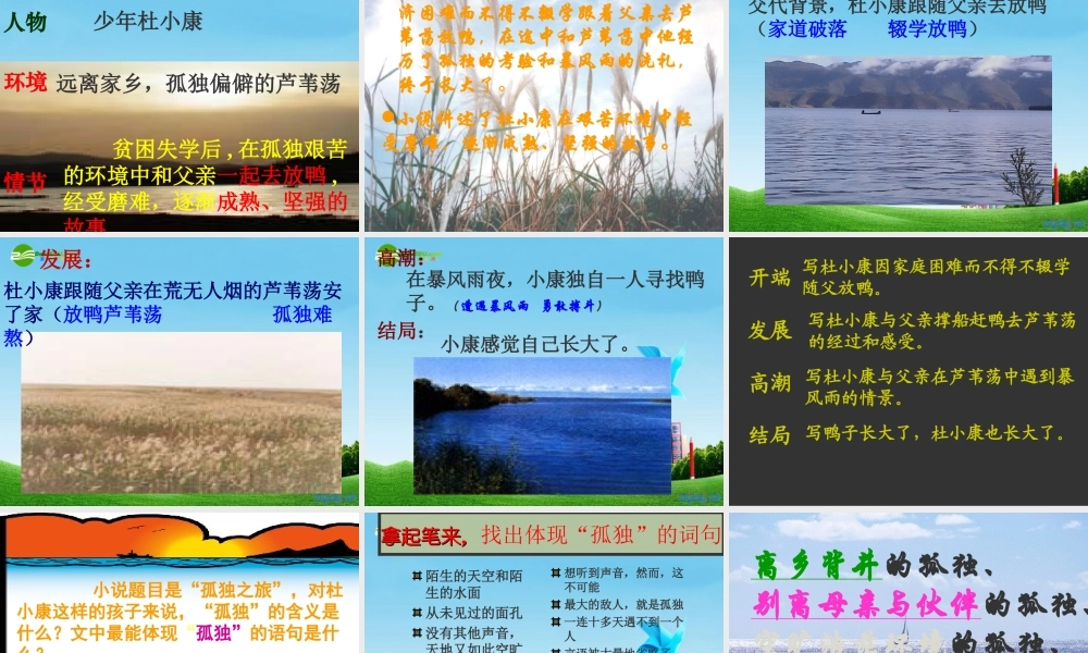 九年级语文上册(孤独之旅)优秀课件(71页) 人教新课标版 课件