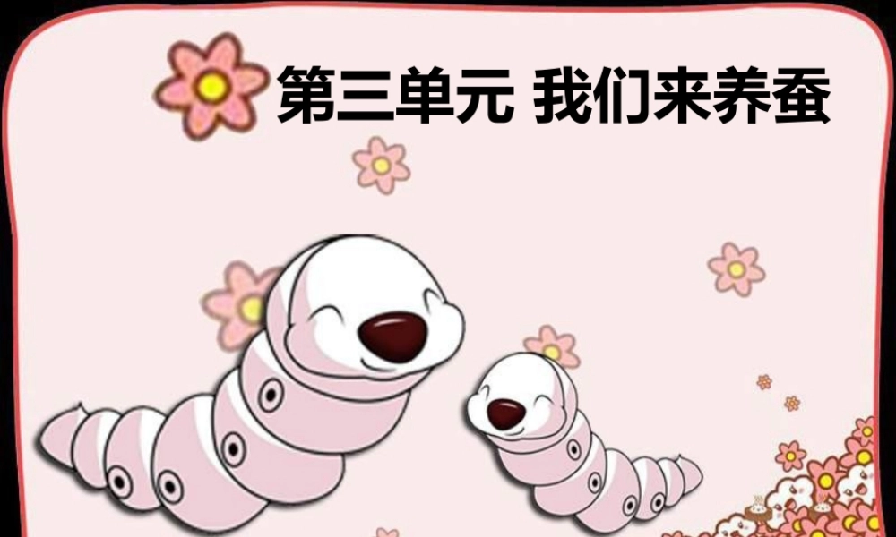 《我们来养蚕》