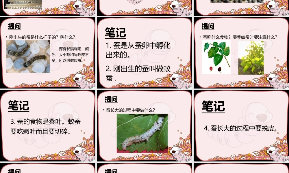 《我们来养蚕》