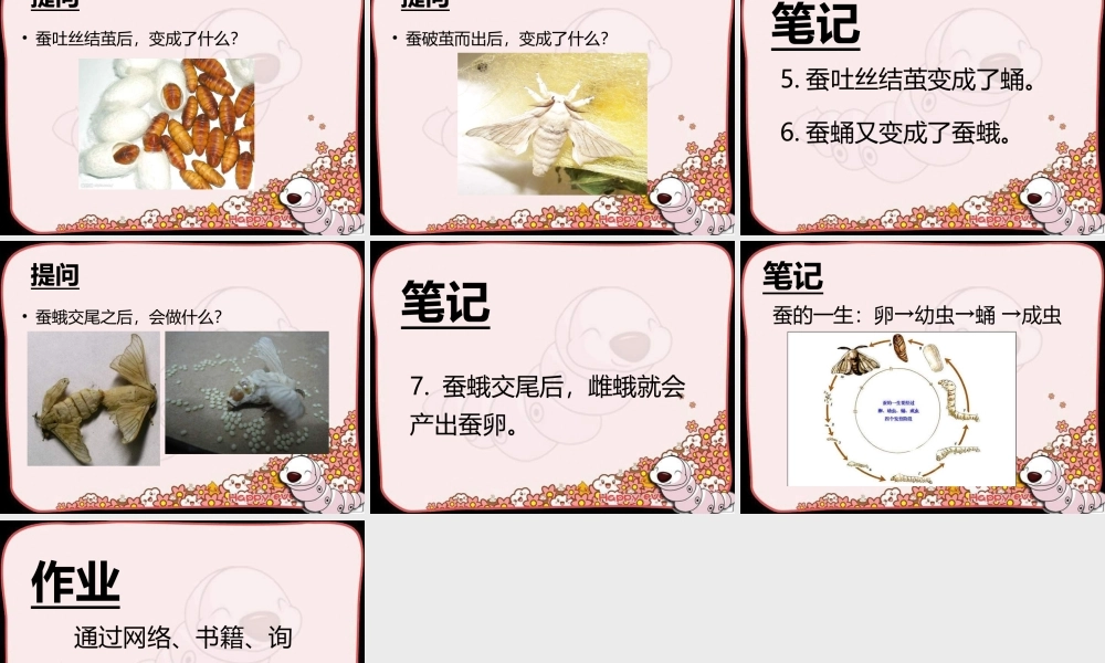 《我们来养蚕》