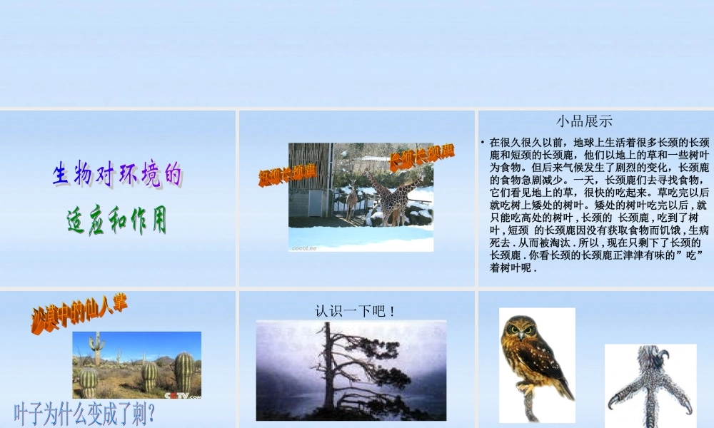 七年级生物上册 (生物对环境的适应和作用)新授课课件 济南版 课件