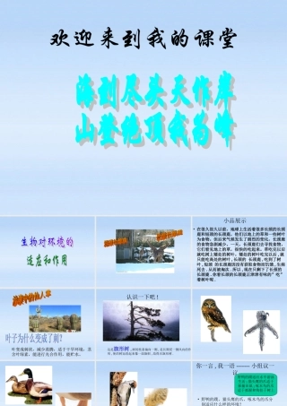 七年级生物上册 (生物对环境的适应和作用)新授课课件 济南版 课件