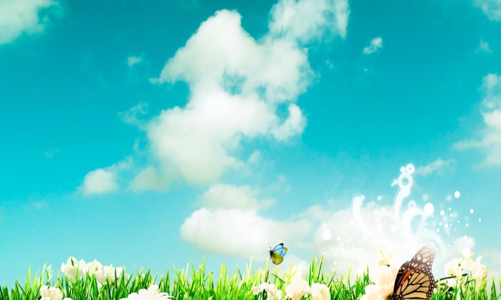 蝴蝶凤舞PPT模板