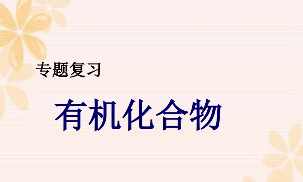 人教版初三化学专题复习课件 有机化合物 课件