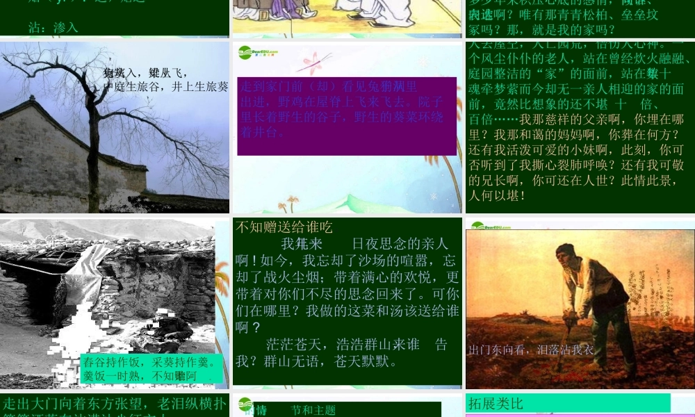 八年级语文下册(十五从军征)课件 语文版 课件