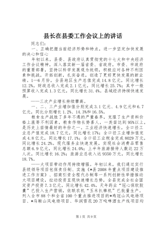 县长在县委工作会议上的讲话