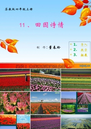 田园诗情课件