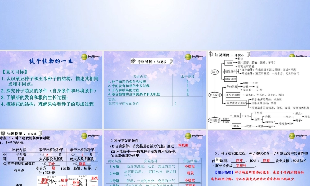 中学七年级生物上册 被子植物的一生课件 新人教版 课件