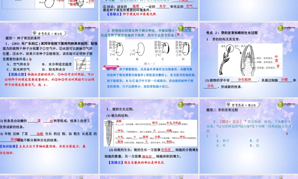 中学七年级生物上册 被子植物的一生课件 新人教版 课件